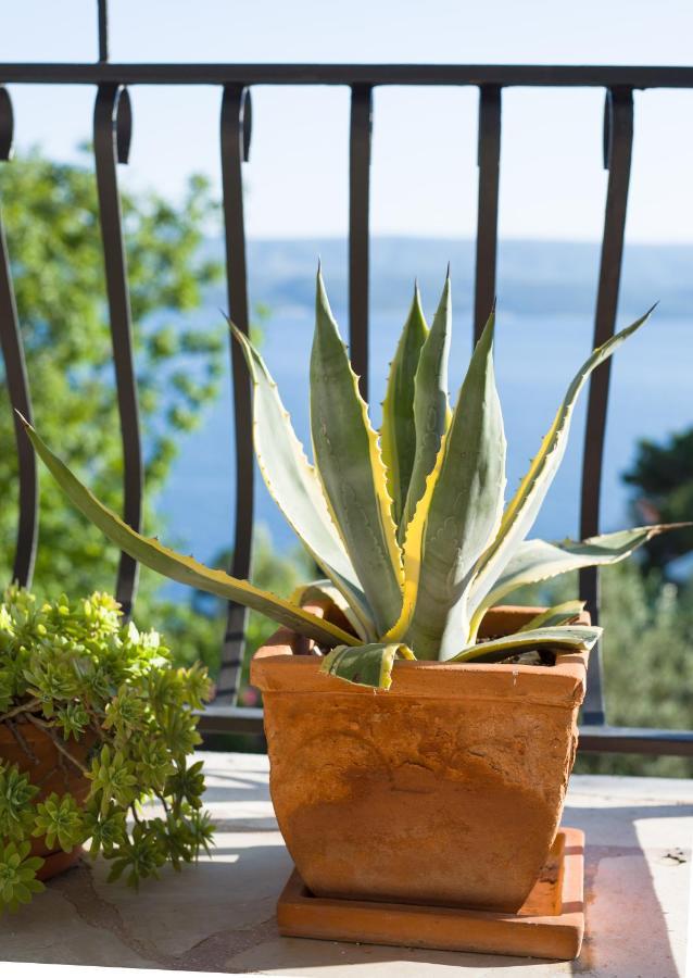 Villa Anima, Stanici, Near Omis Bagian luar foto